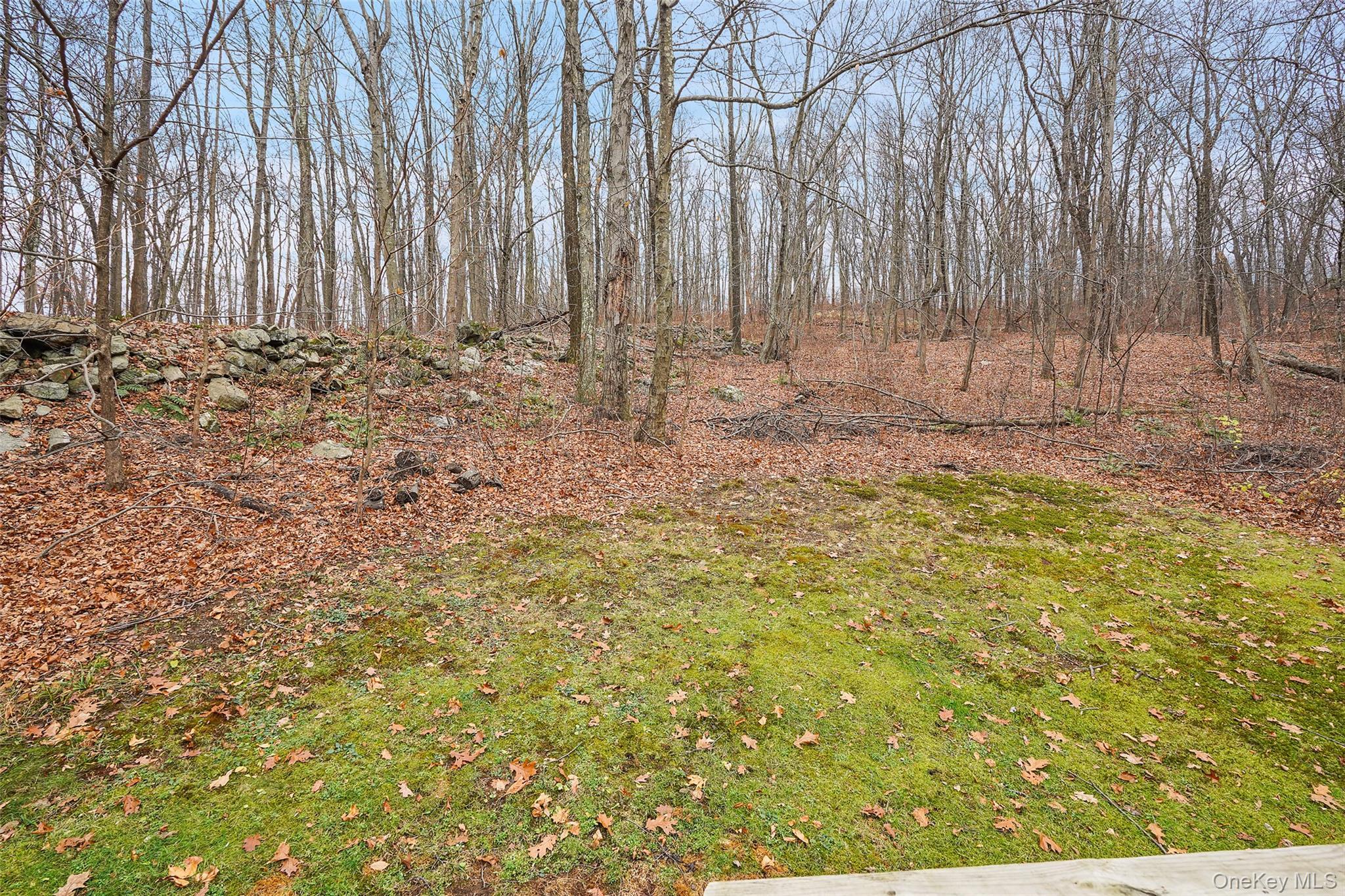 Single Family Van Wyck Lake  Dutchess County, NY 12524, MLS-931964-22