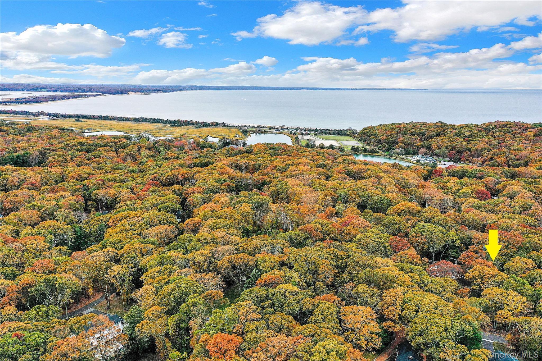 Single Family Highwood  Suffolk County, NY 11733, MLS-932014-40