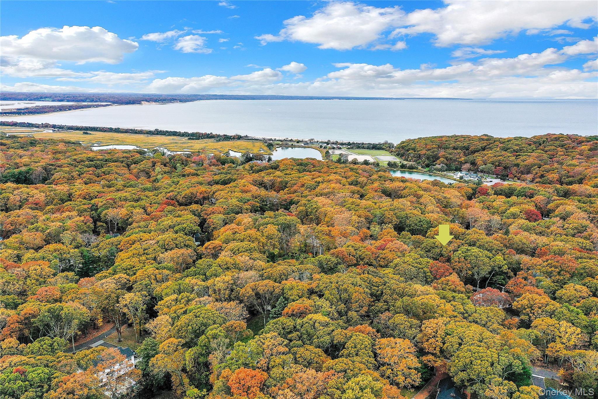 Single Family Highwood  Suffolk County, NY 11733, MLS-932014-45