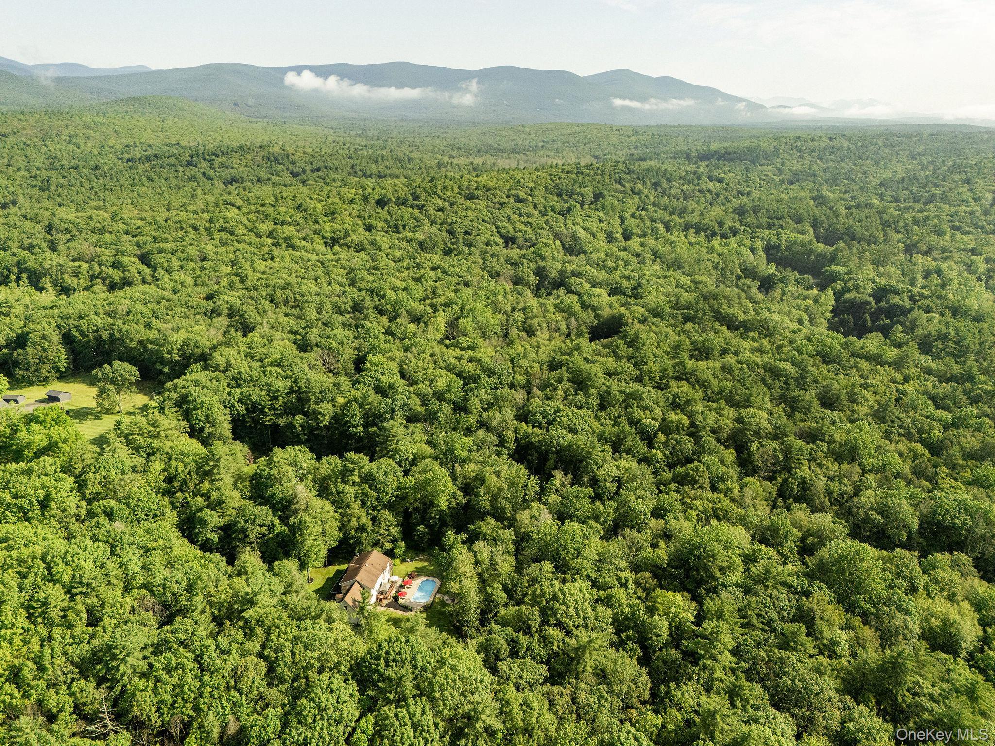 Single Family Wright  Ulster County, NY 12446, MLS-932020-2