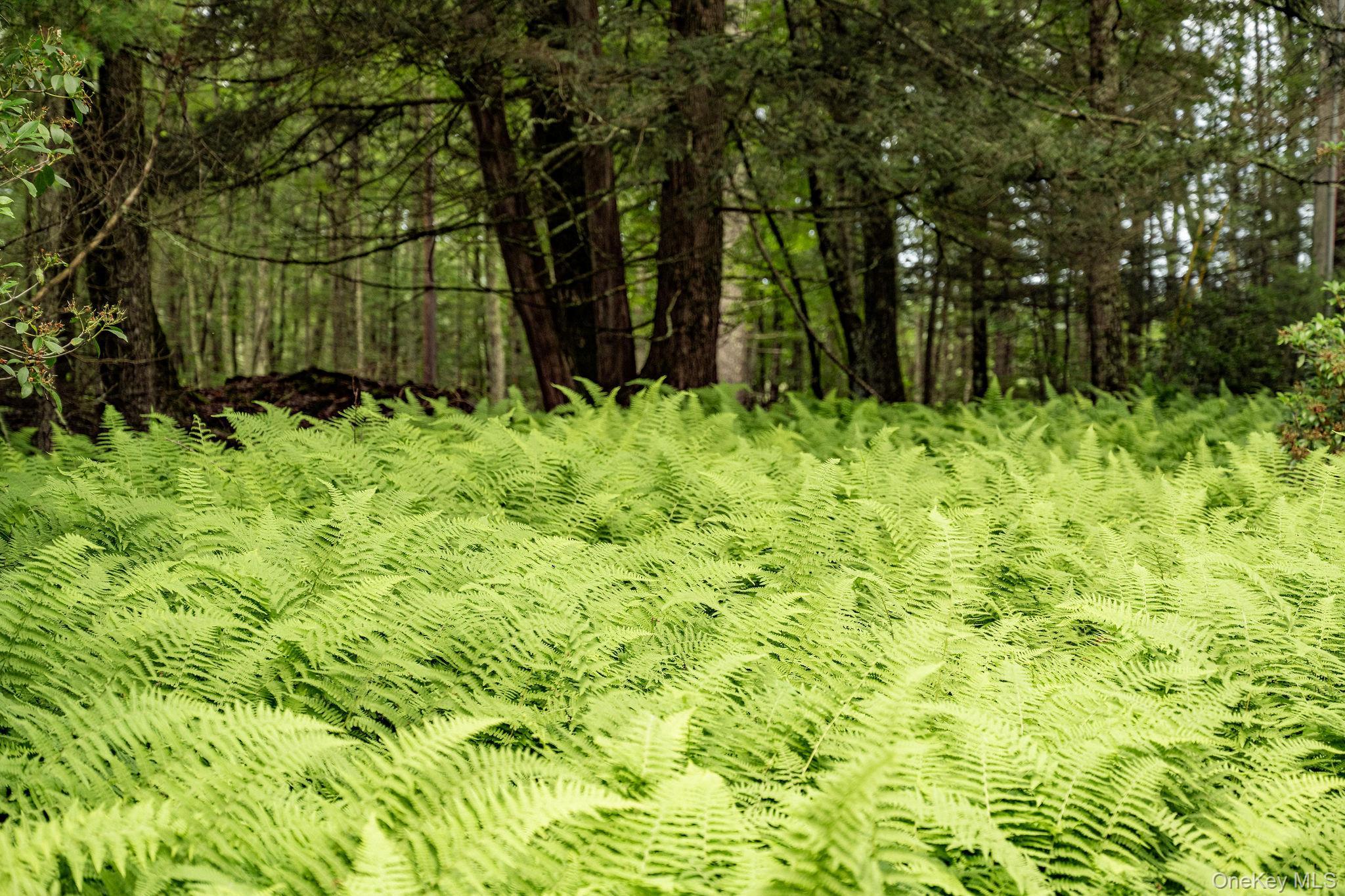 Single Family Wright  Ulster County, NY 12446, MLS-932020-38