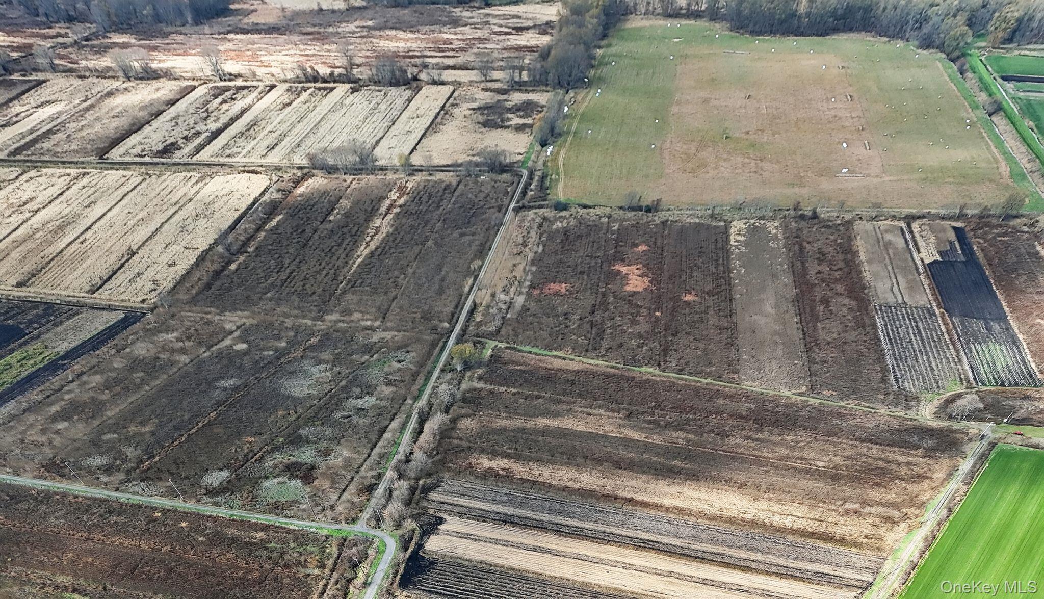 Single Family Bierstine  Orange County, NY 10969, MLS-932029-11