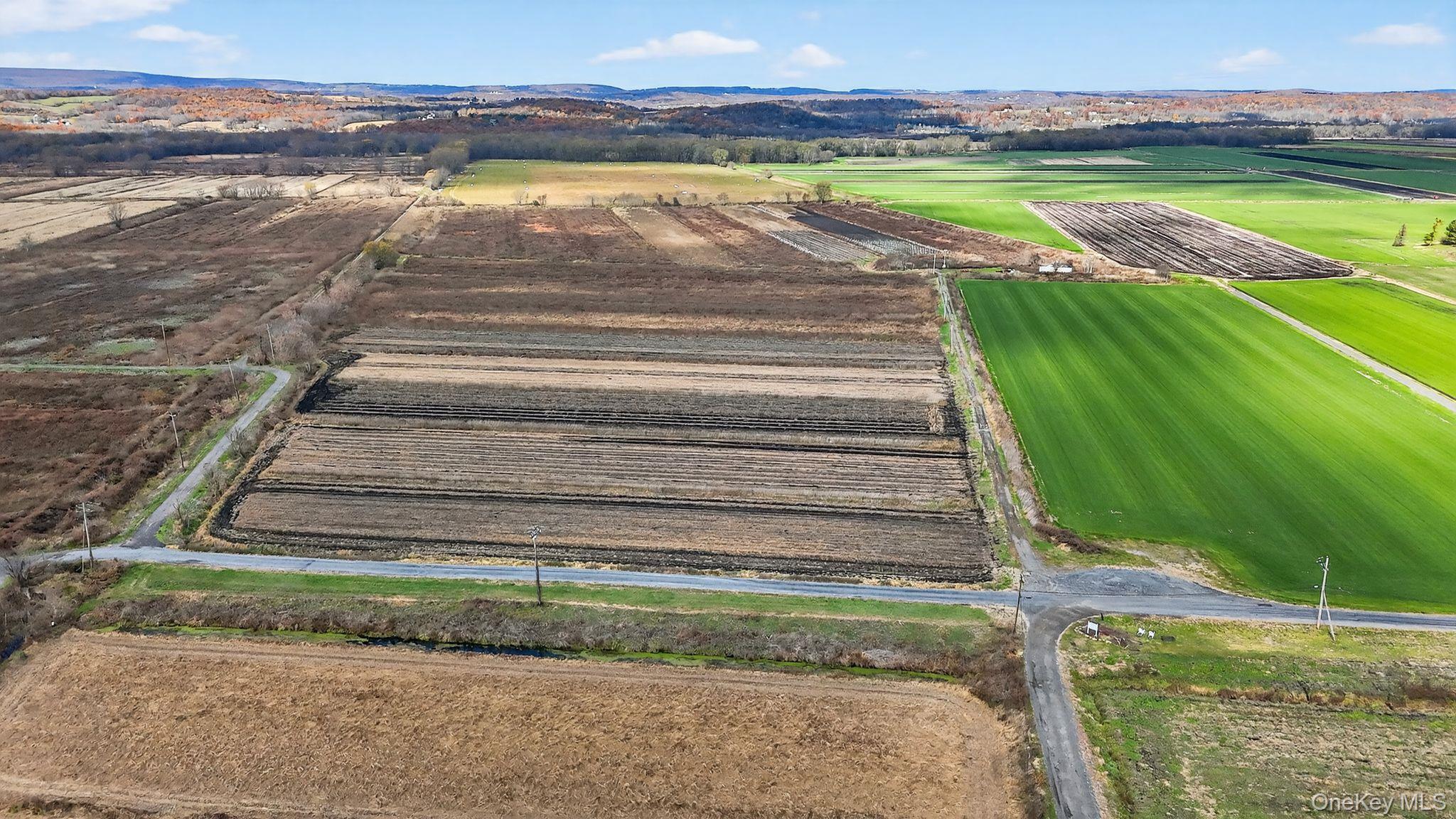 Single Family Bierstine  Orange County, NY 10969, MLS-932029-13