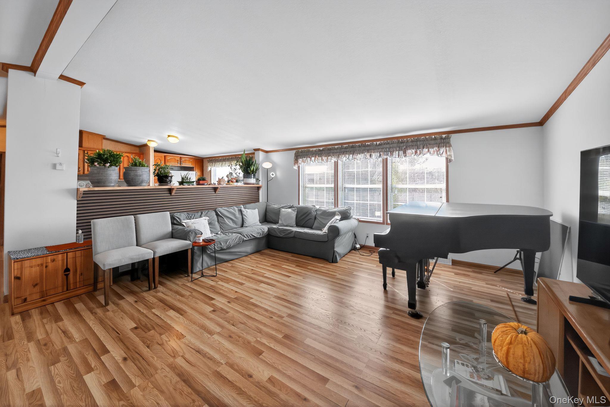 Single Family Bierstine  Orange County, NY 10969, MLS-932029-21