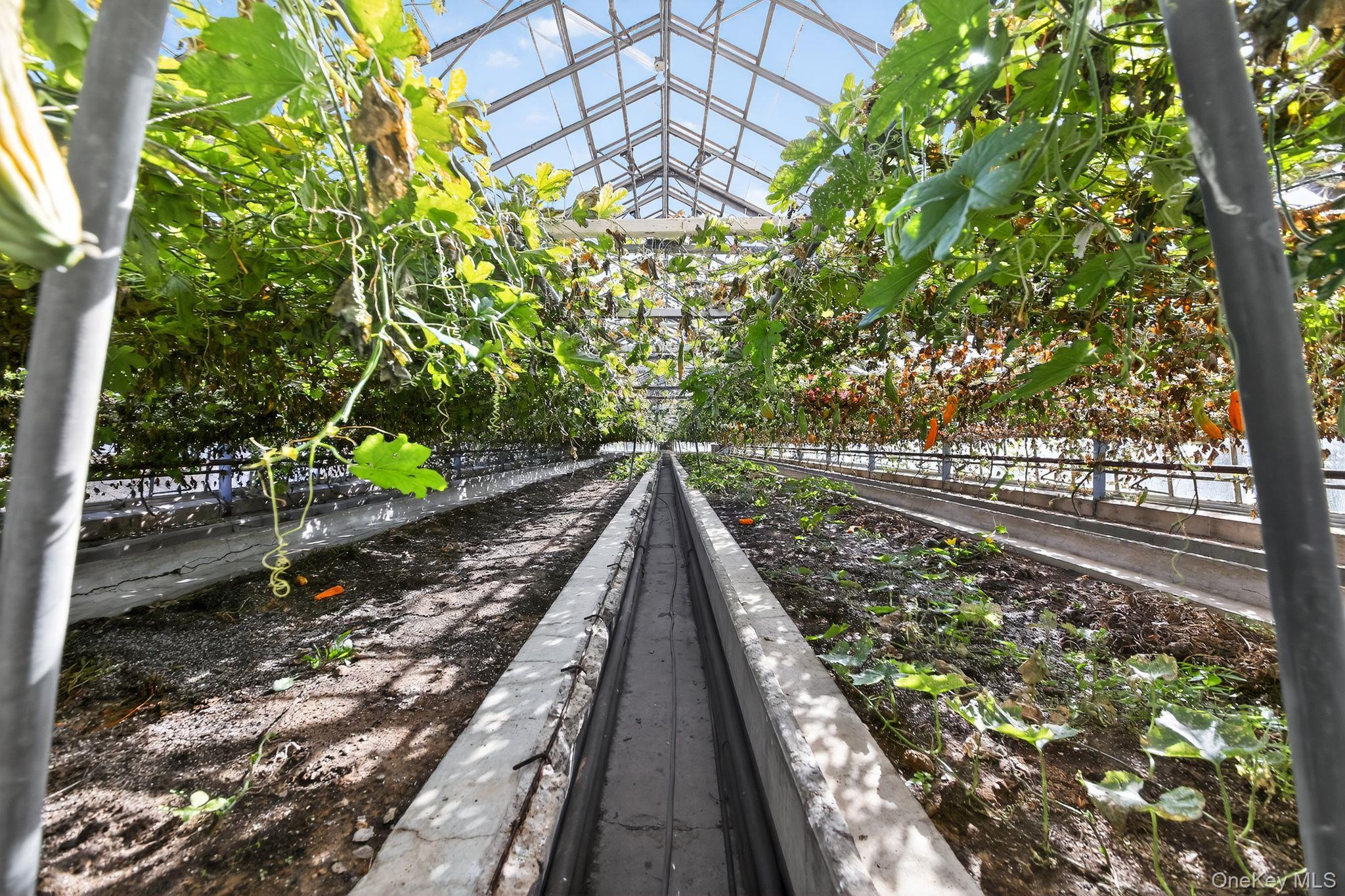 Single Family Bierstine  Orange County, NY 10969, MLS-932029-44