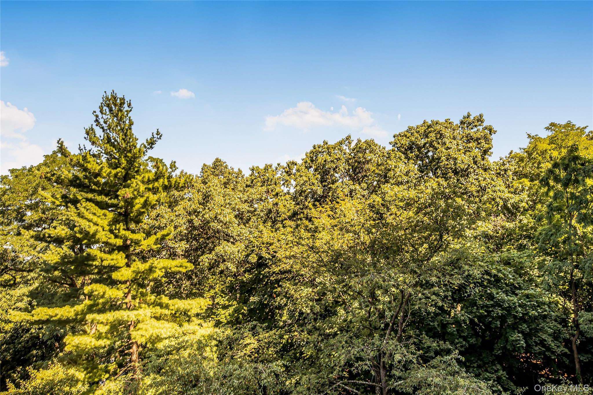 Coop Blackstone  Bronx, NY 10471, MLS-932056-12