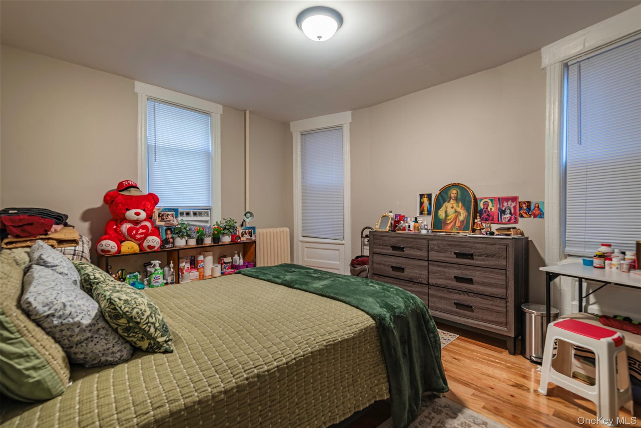 Single Family Heath Avenue Bronx, NY 10463, MLS-932079-10