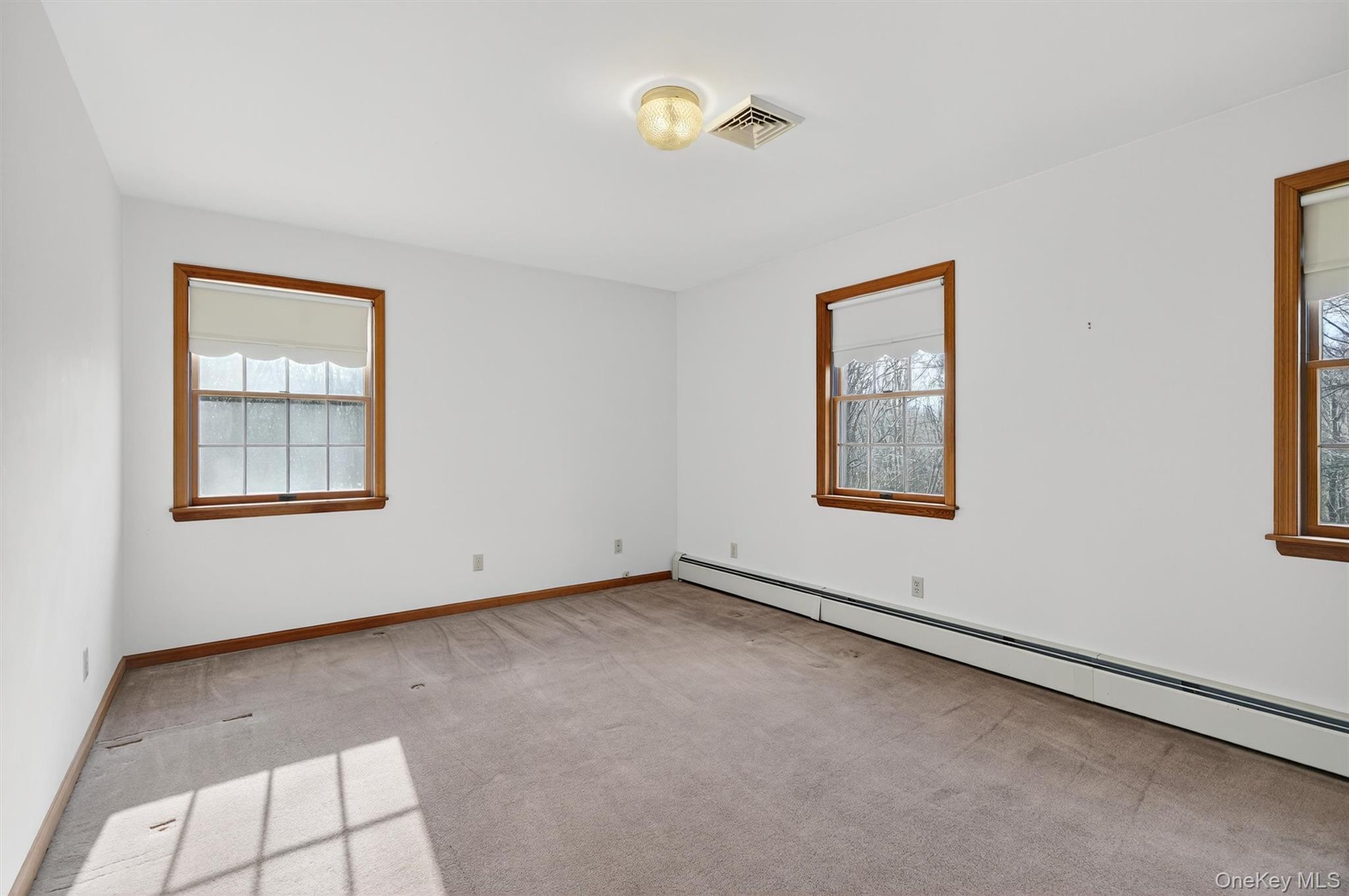 Single Family Cameron Orange County, NY 10924, MLS-932082-28