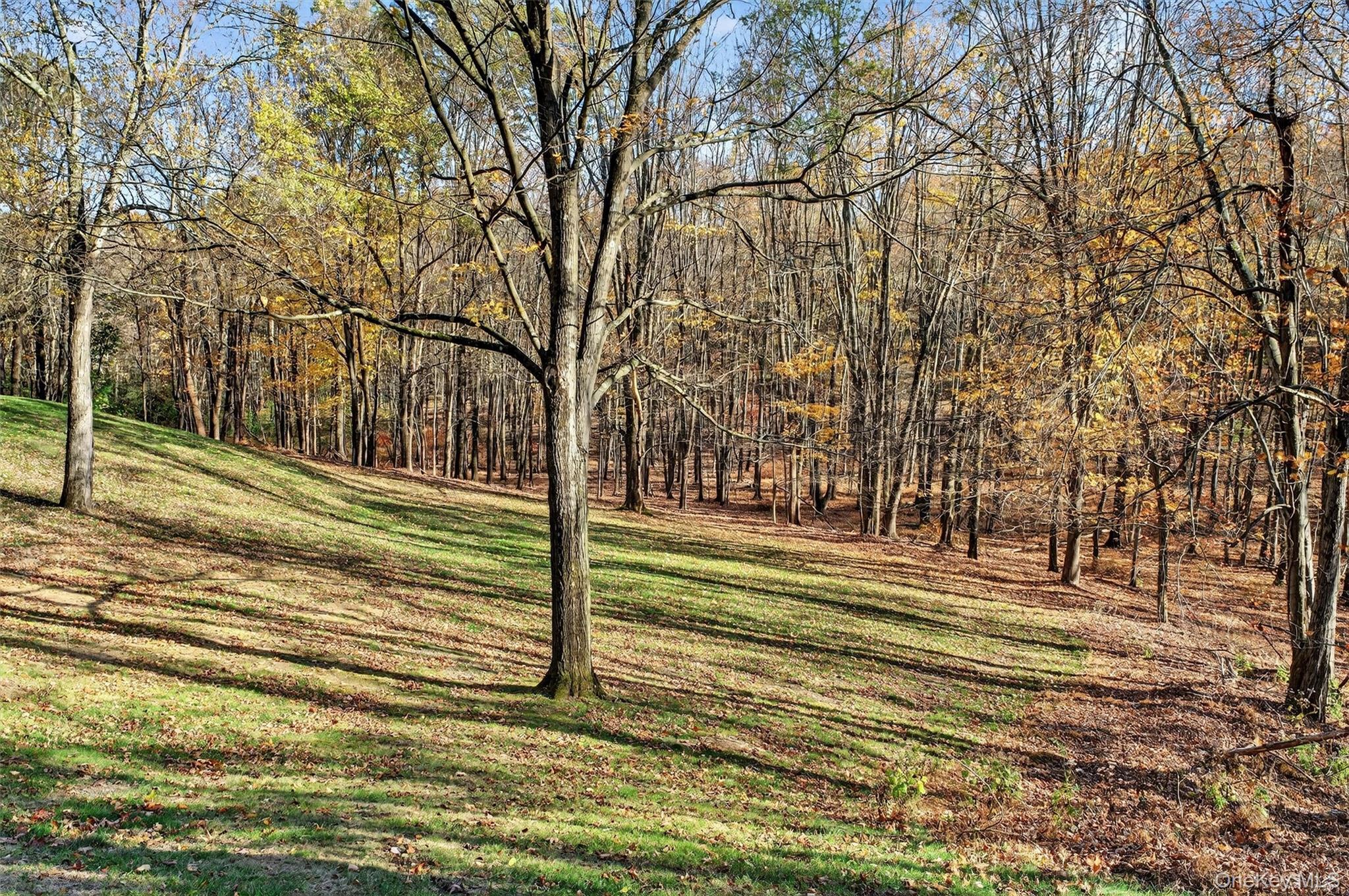 Single Family Cameron Orange County, NY 10924, MLS-932082-45