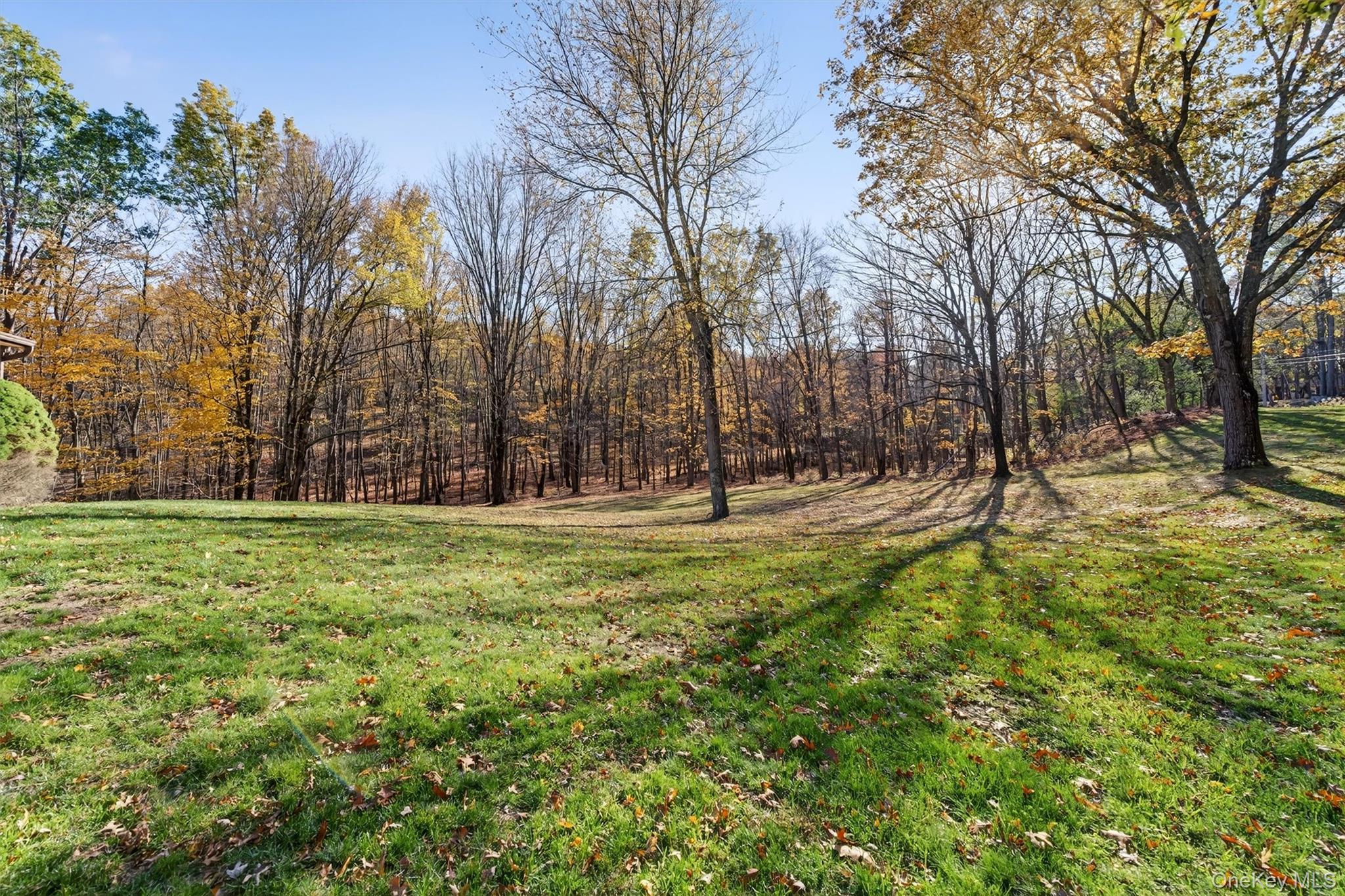 Single Family Cameron Orange County, NY 10924, MLS-932082-46