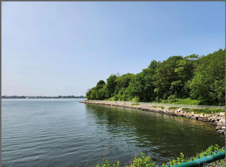 Condo 115th  Queens, NY 11356, MLS-932195-2