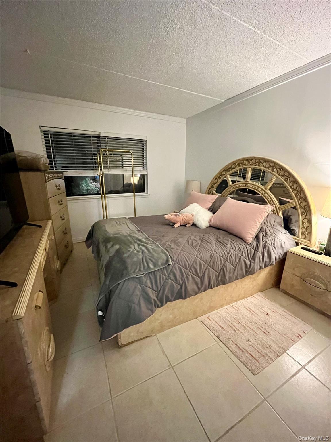 Condo 115th  Queens, NY 11356, MLS-932195-8