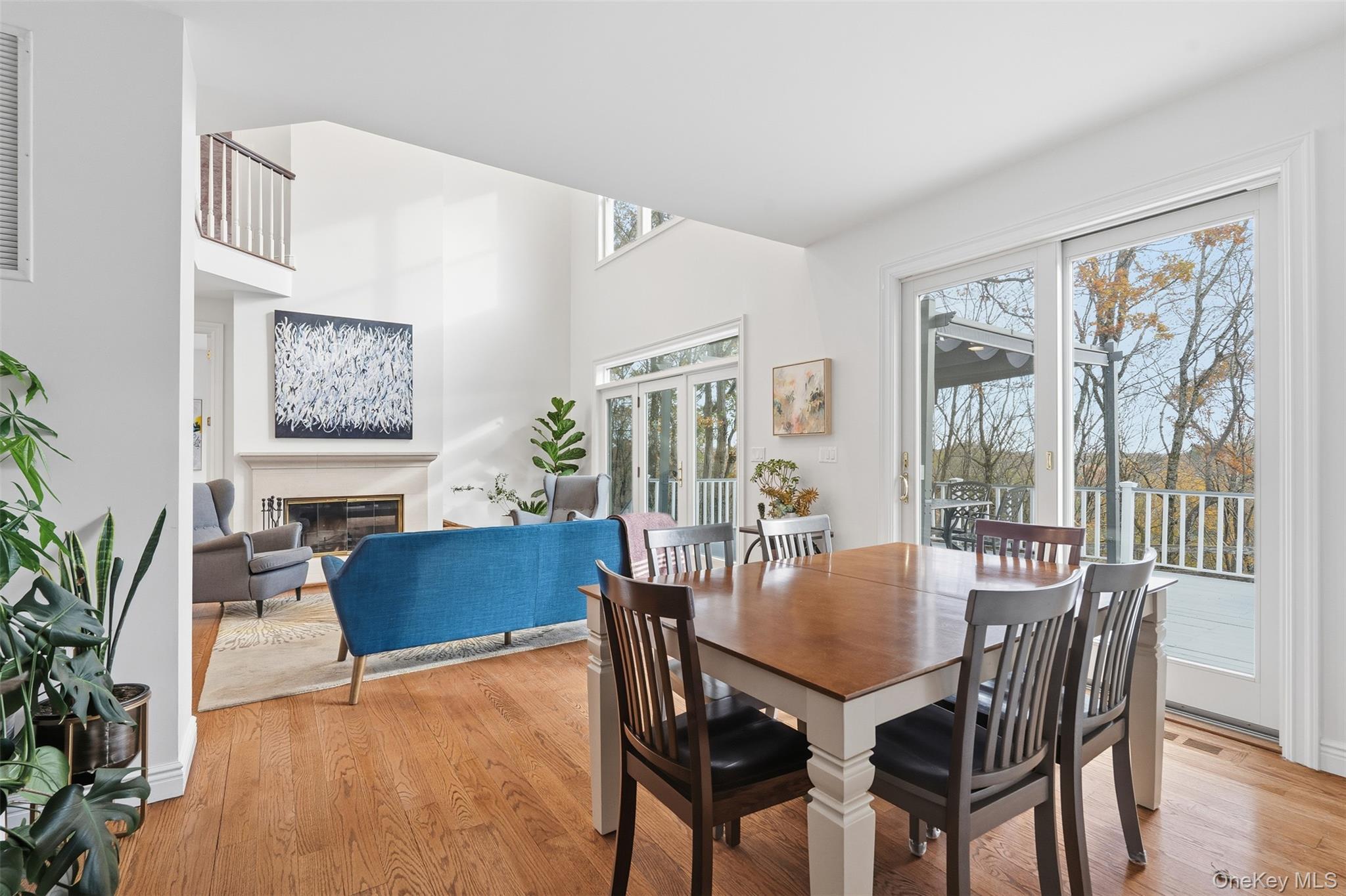 Single Family Spring House Westchester County, NY 10576, MLS-932202-18