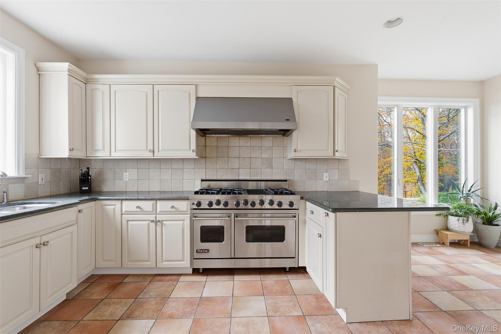 Single Family Spring House Westchester County, NY 10576, MLS-932202-19