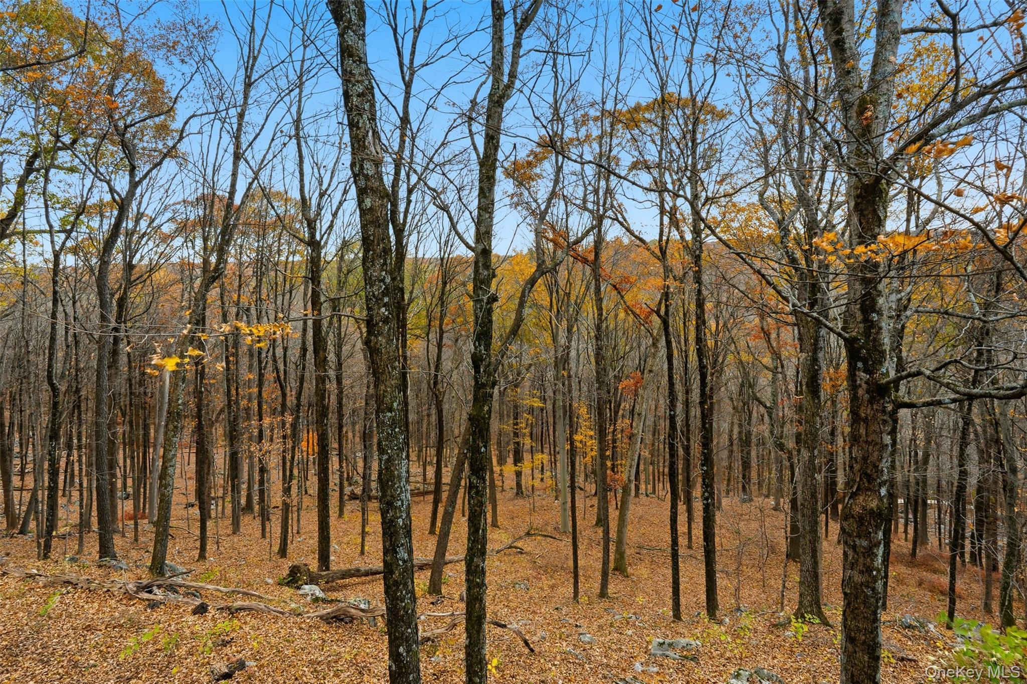 Single Family Spring House Westchester County, NY 10576, MLS-932202-47