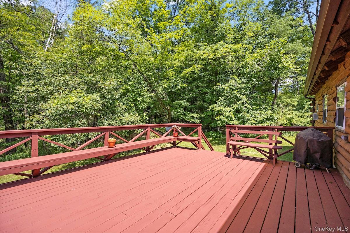 Single Family Hall Hill  Columbia County, NY 12502, MLS-932217-13