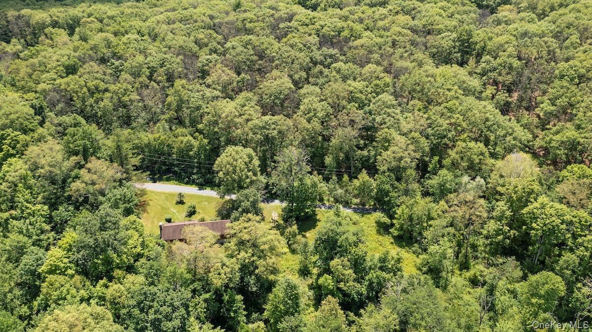 Single Family Hall Hill  Columbia County, NY 12502, MLS-932217-14