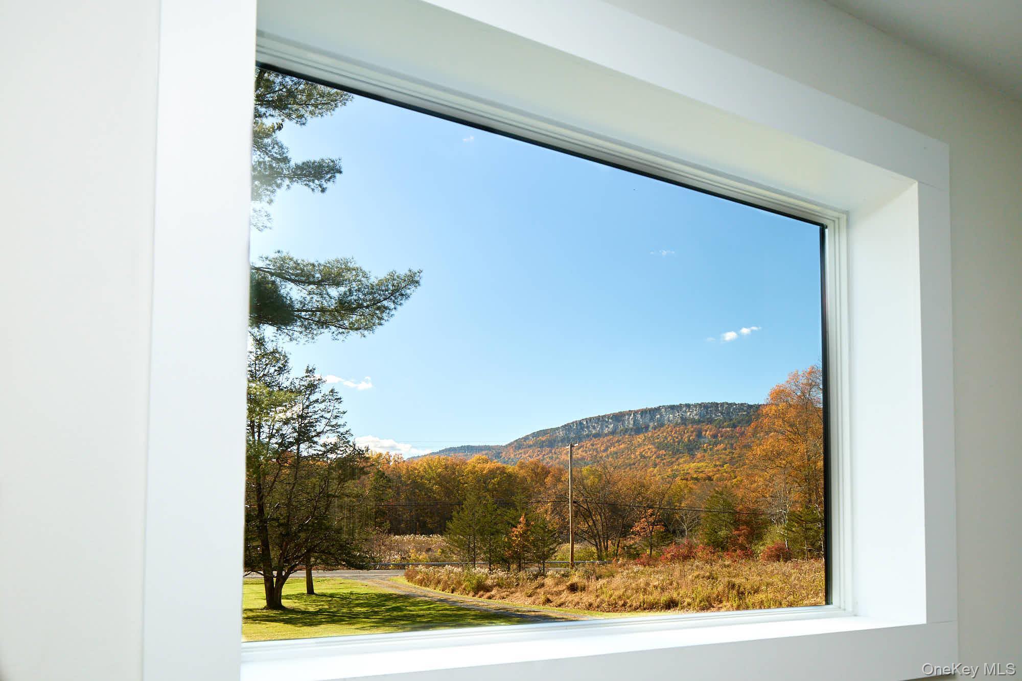 Single Family Route 44 55 Ulster County, NY 12525, MLS-932382-16