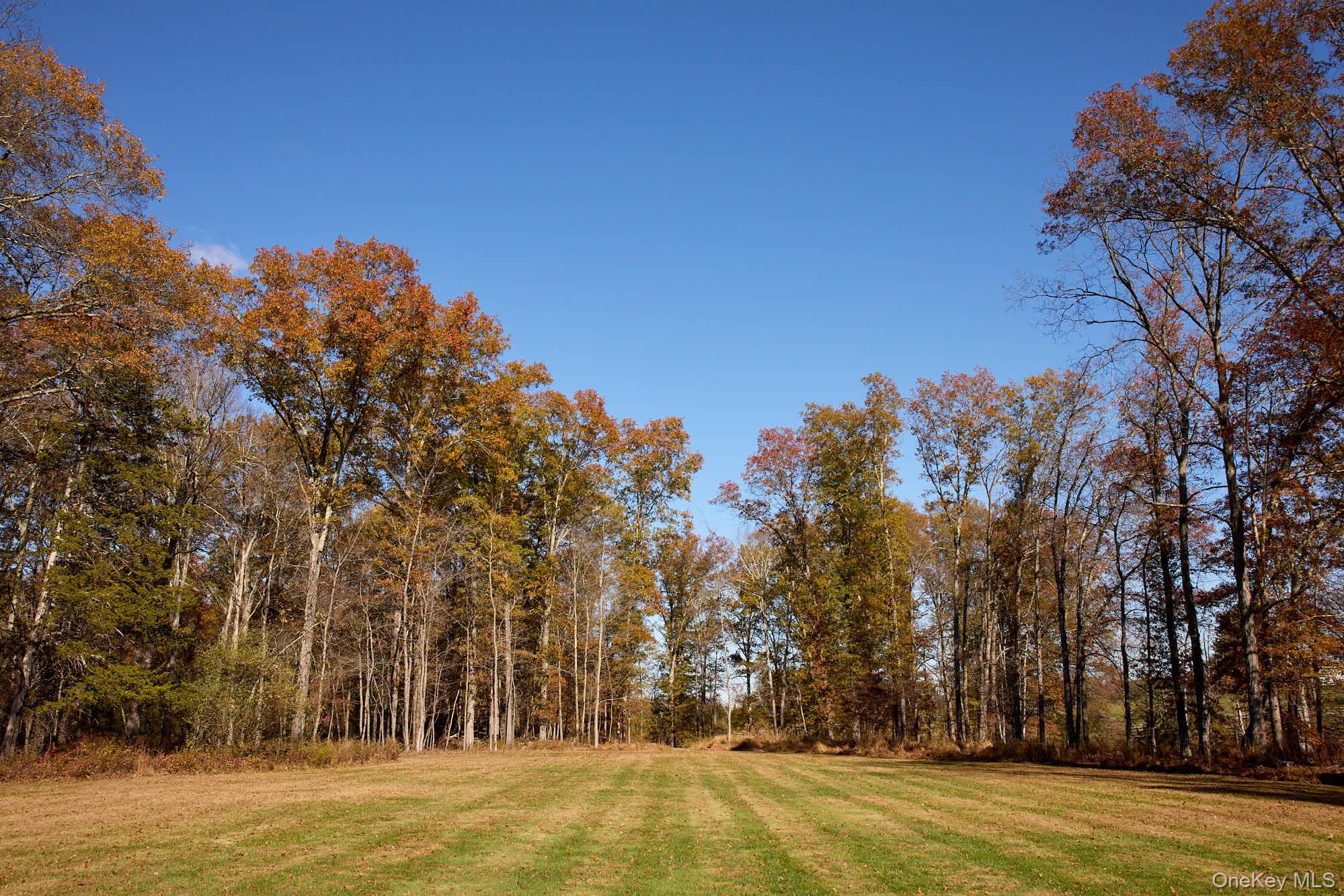 Single Family Route 44 55 Ulster County, NY 12525, MLS-932382-31