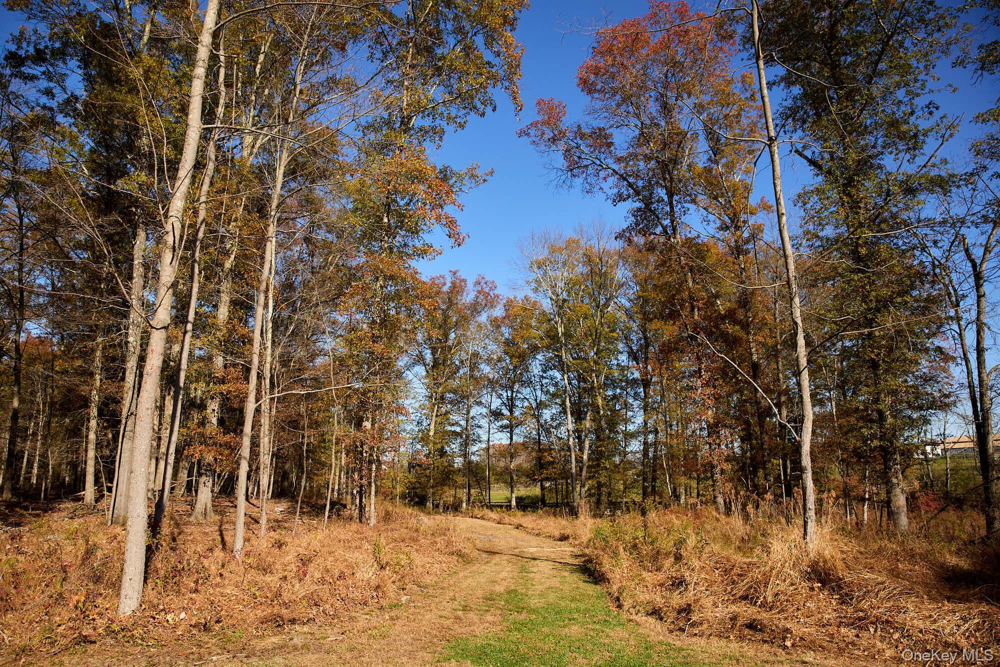 Single Family Route 44 55 Ulster County, NY 12525, MLS-932382-32