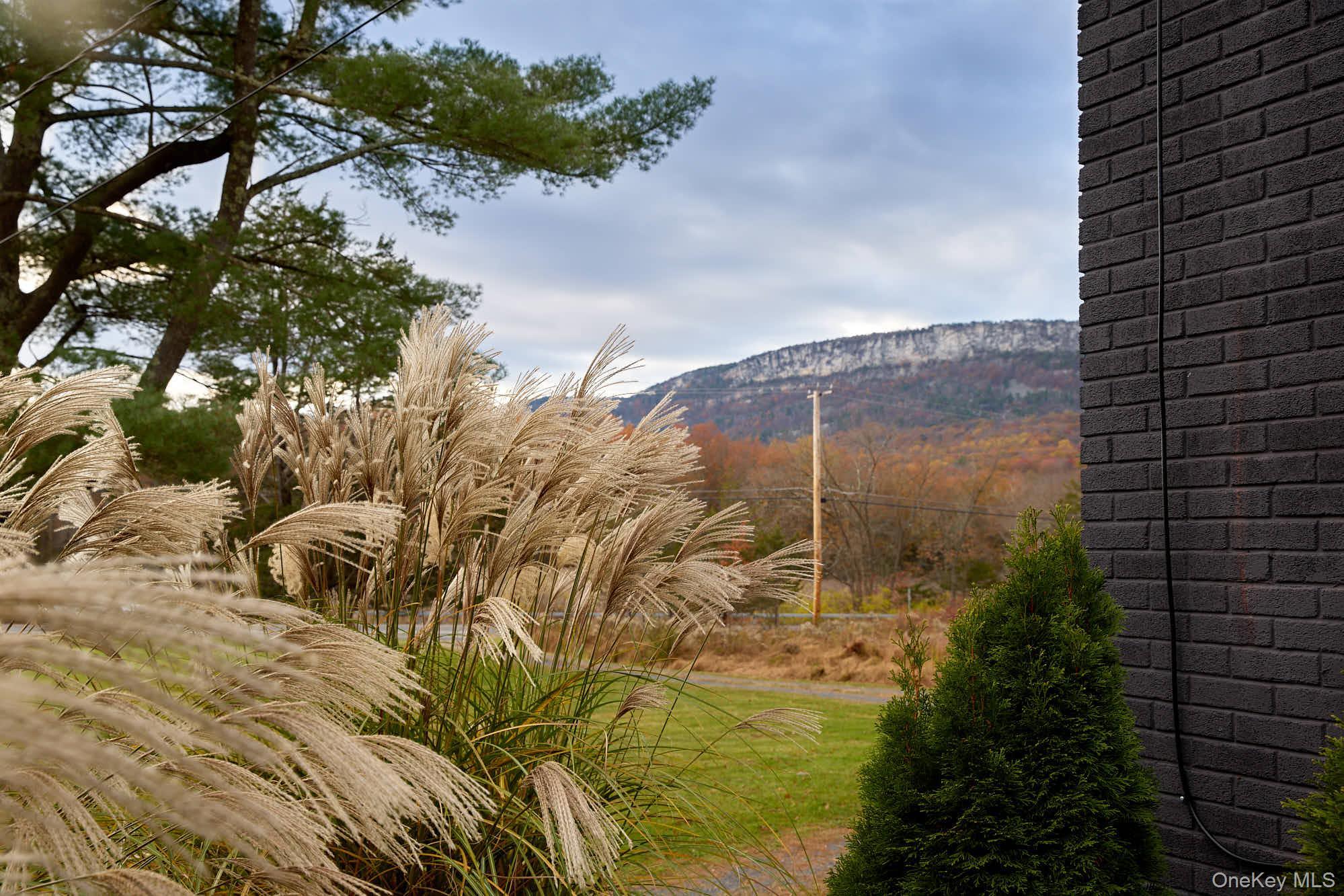 Single Family Route 44 55 Ulster County, NY 12525, MLS-932382-5