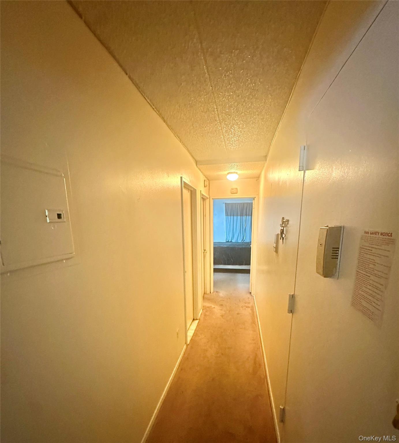 Condo Adrian  Bronx, NY 10463, MLS-932492-10