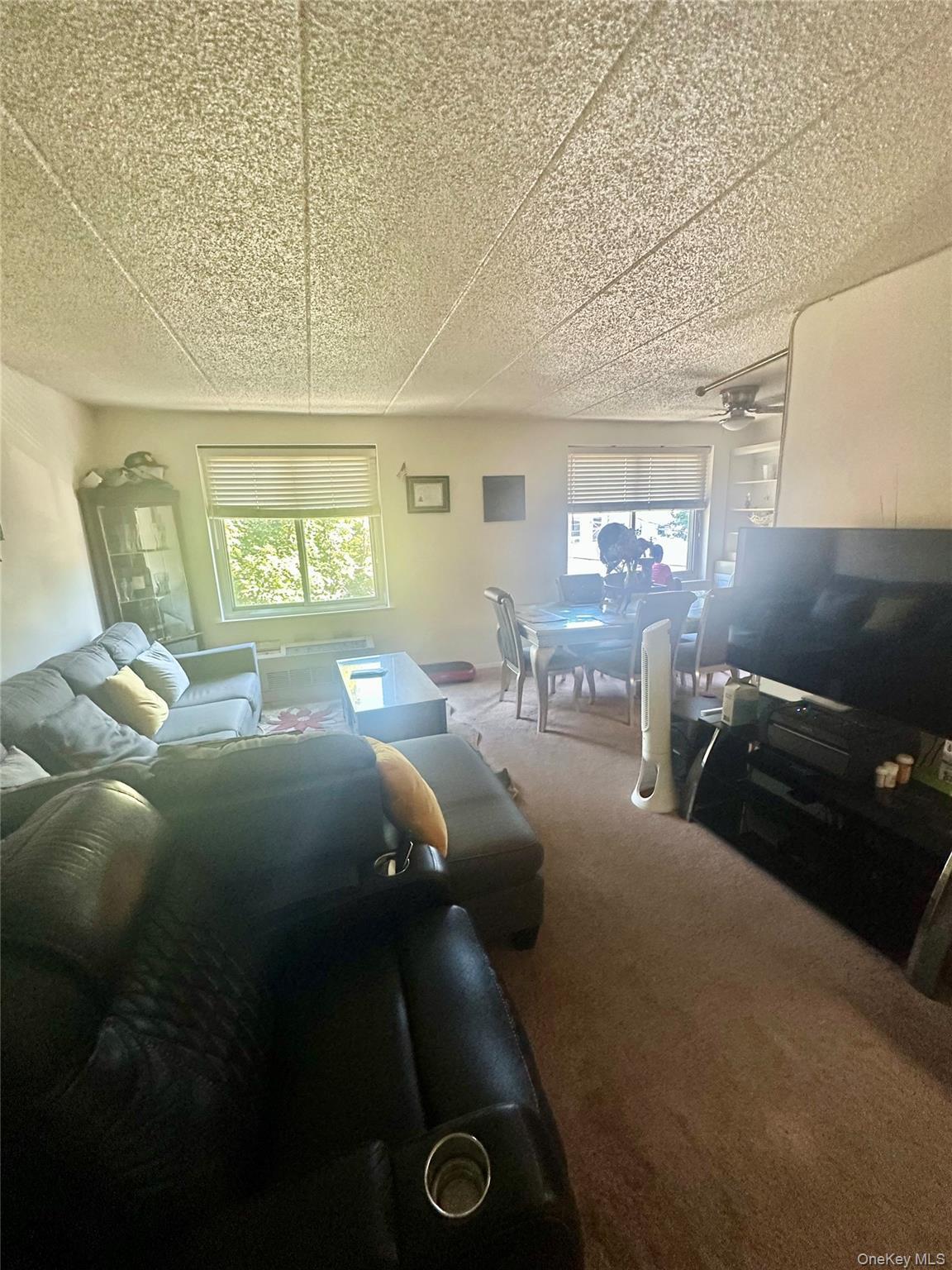 Condo Adrian  Bronx, NY 10463, MLS-932492-2