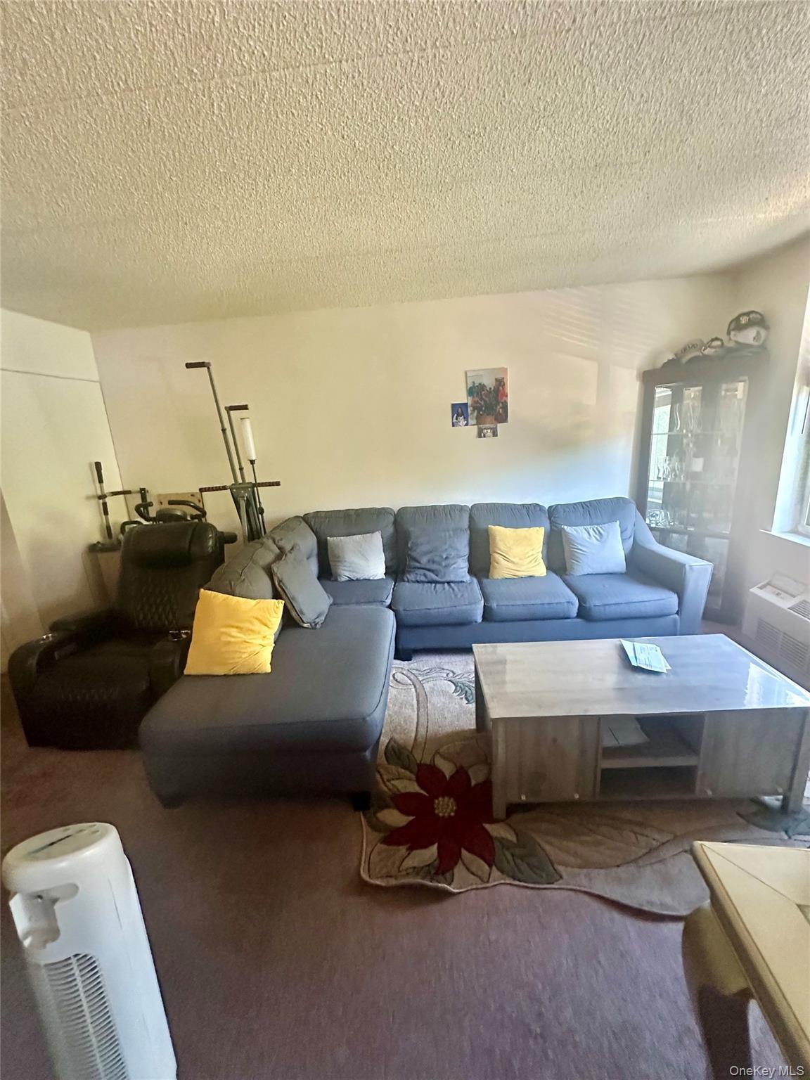 Condo Adrian  Bronx, NY 10463, MLS-932492-3