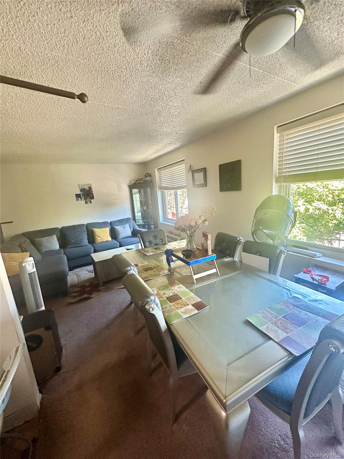 Condo Adrian  Bronx, NY 10463, MLS-932492-4