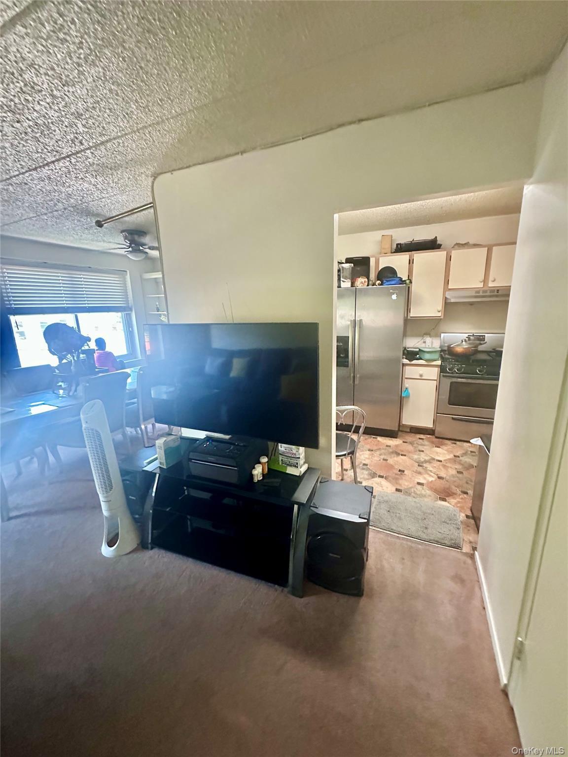 Condo Adrian  Bronx, NY 10463, MLS-932492-5