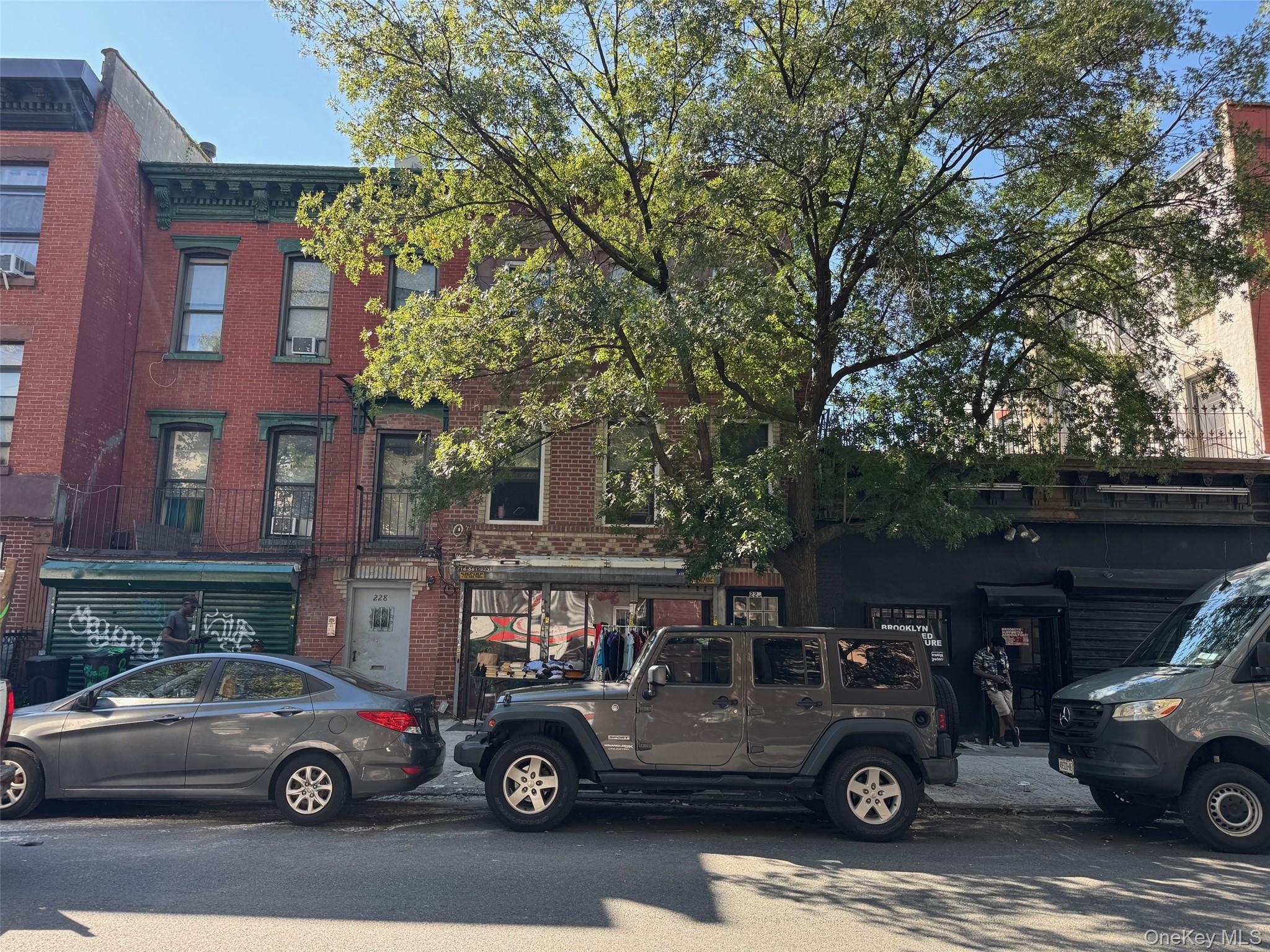 Single Family Marcus Garvey Brooklyn, NY 11221, MLS-932621-3