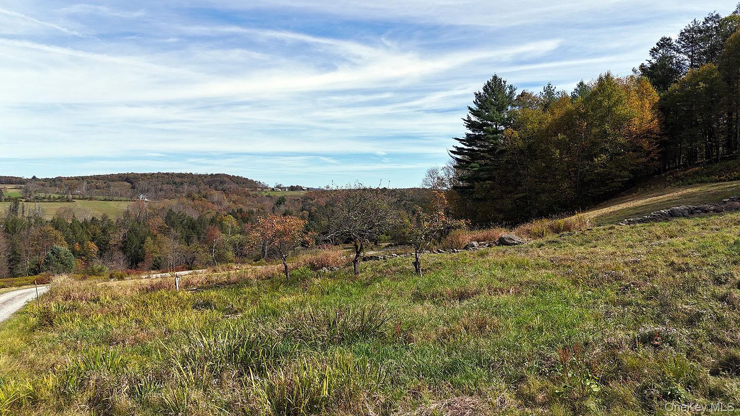 Single Family Clover Hill Out Of Area, NY 18415, MLS-932630-39