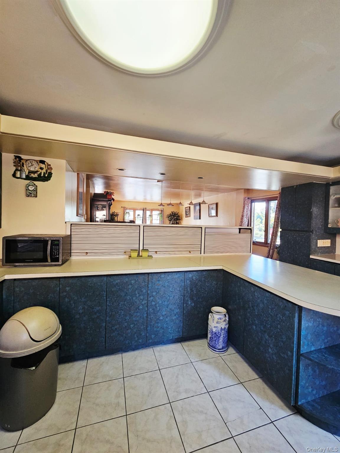 Single Family Schenck  Brooklyn, NY 11236, MLS-932671-13