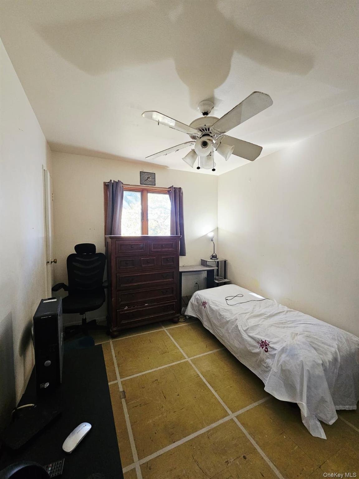 Single Family Schenck  Brooklyn, NY 11236, MLS-932671-21