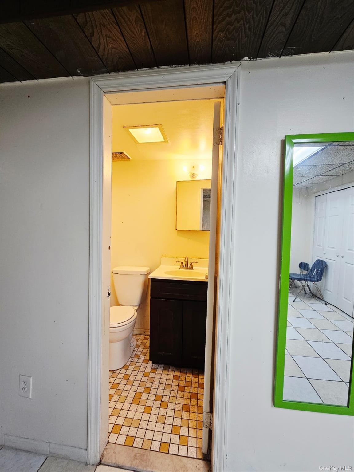 Single Family Schenck  Brooklyn, NY 11236, MLS-932671-25