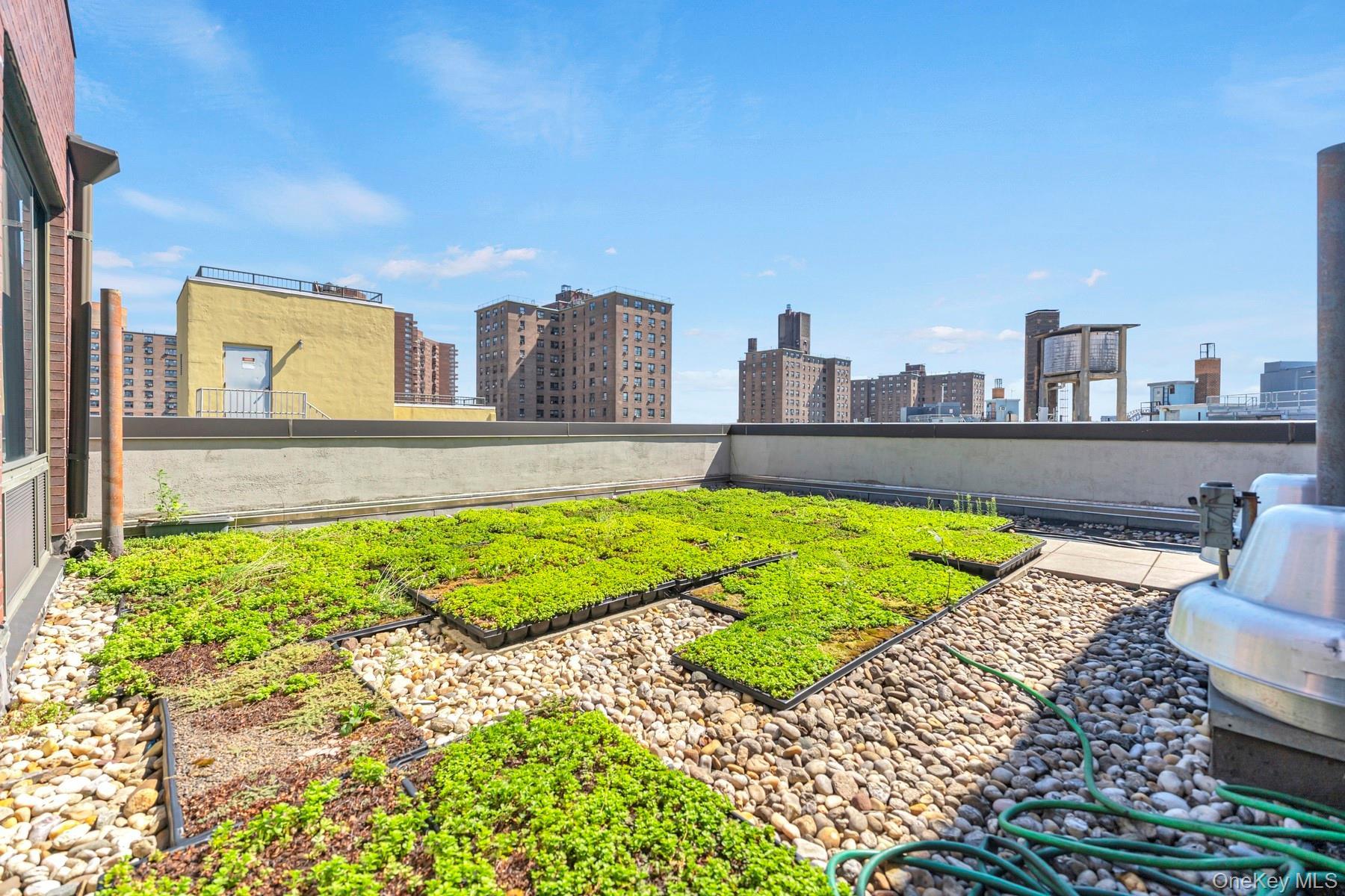 Condo 104  Manhattan, NY 10029, MLS-932708-10