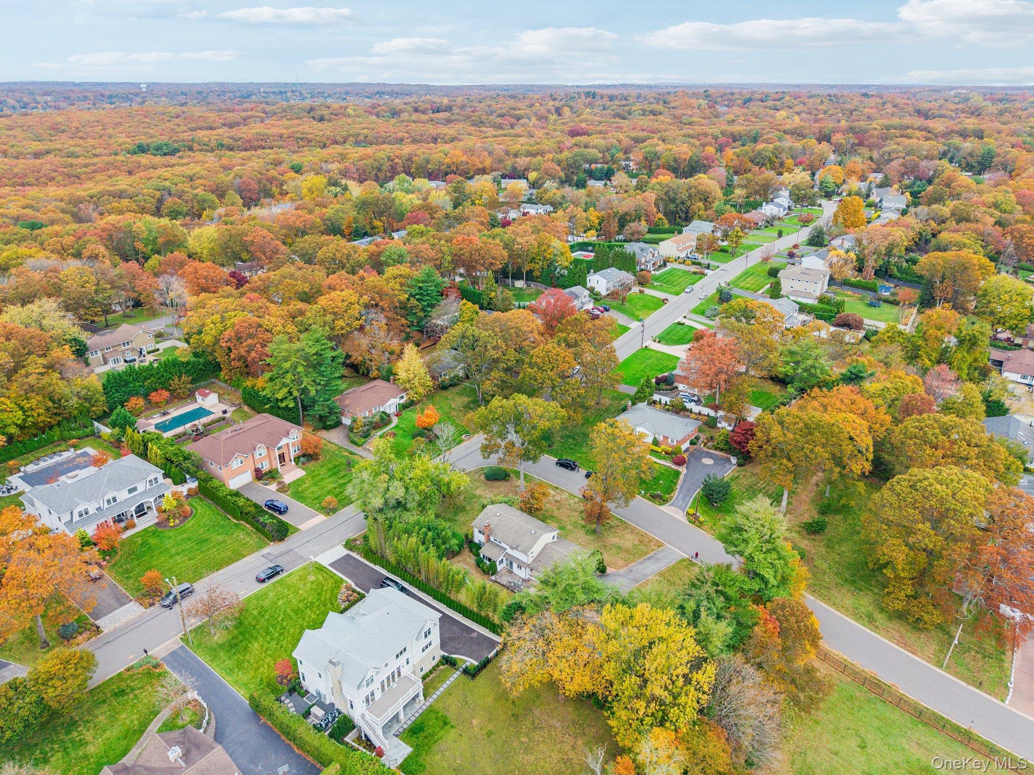 Single Family Princeton Nassau County, NY 11803, MLS-932730-33