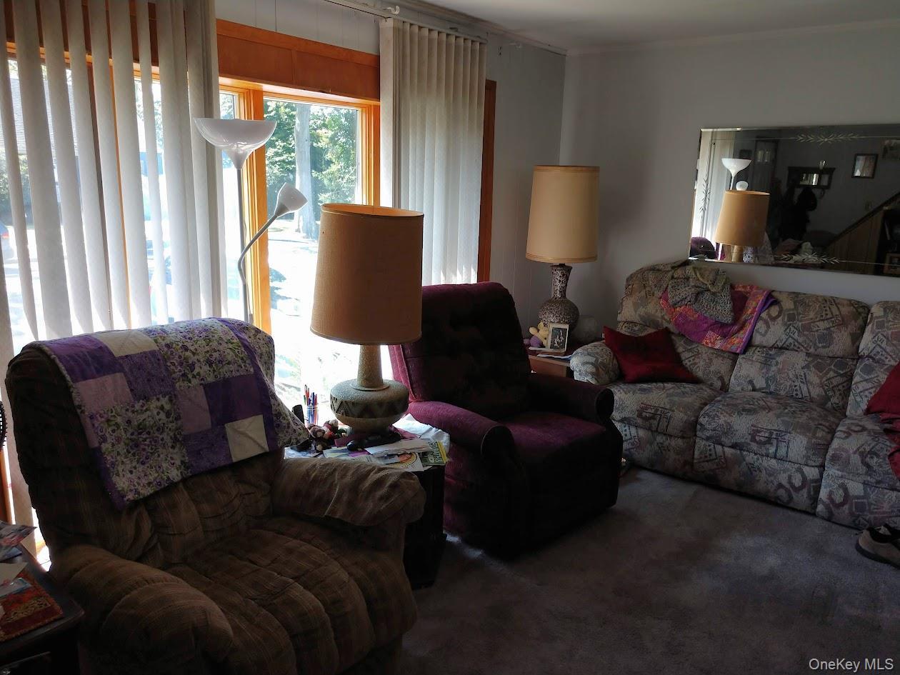 Single Family Floral Park  Nassau County, NY 11010, MLS-932732-2