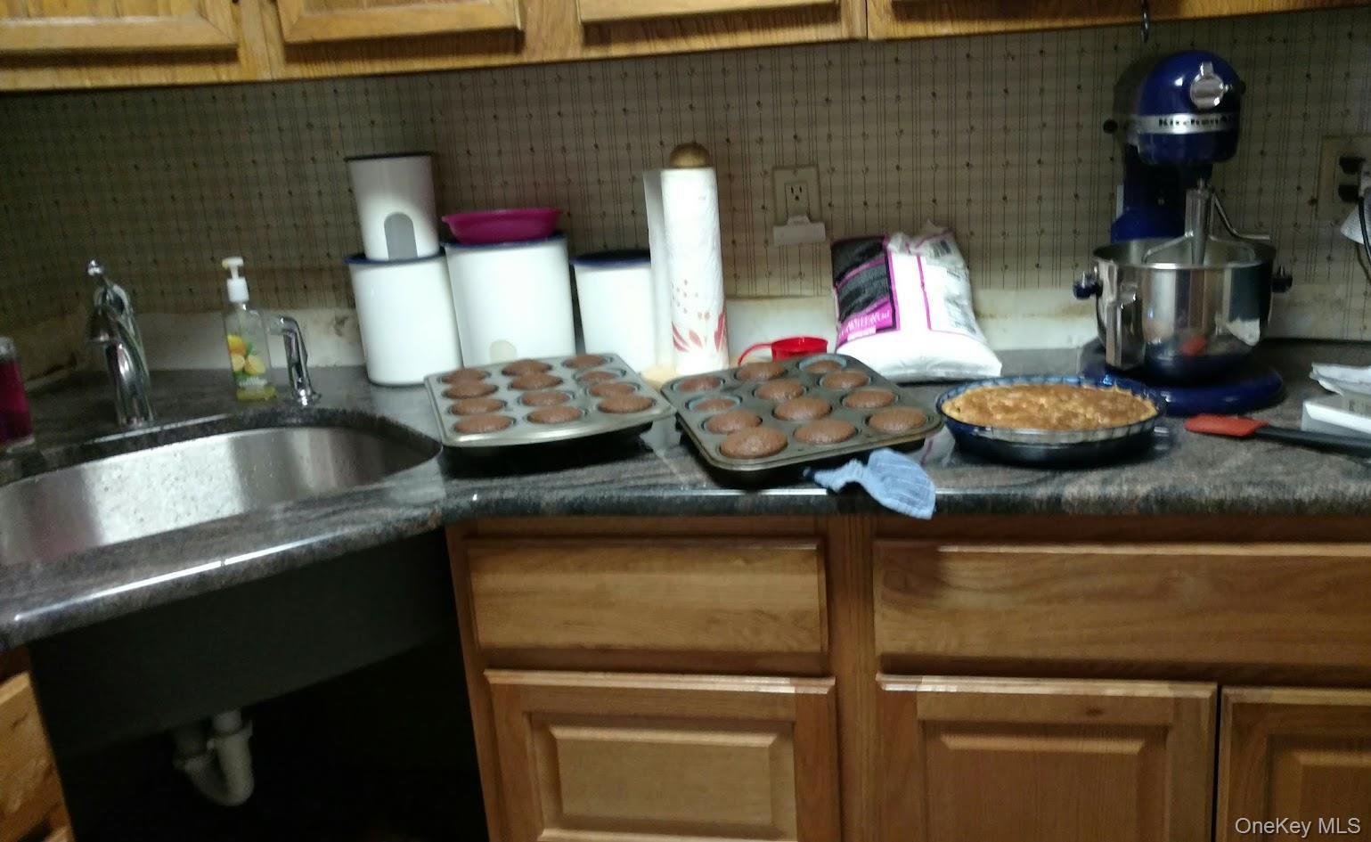 Single Family Floral Park  Nassau County, NY 11010, MLS-932732-5