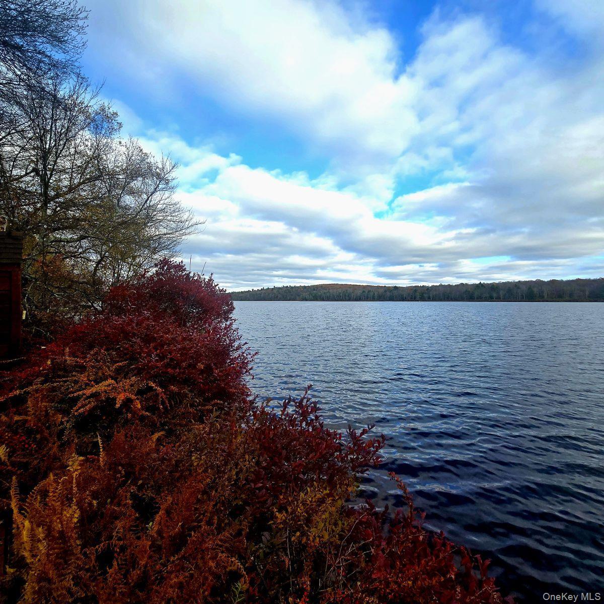 Single Family Lena  Sullivan County, NY 12777, MLS-932743-10