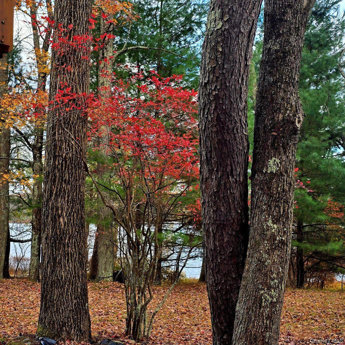 Single Family Lena  Sullivan County, NY 12777, MLS-932743-7