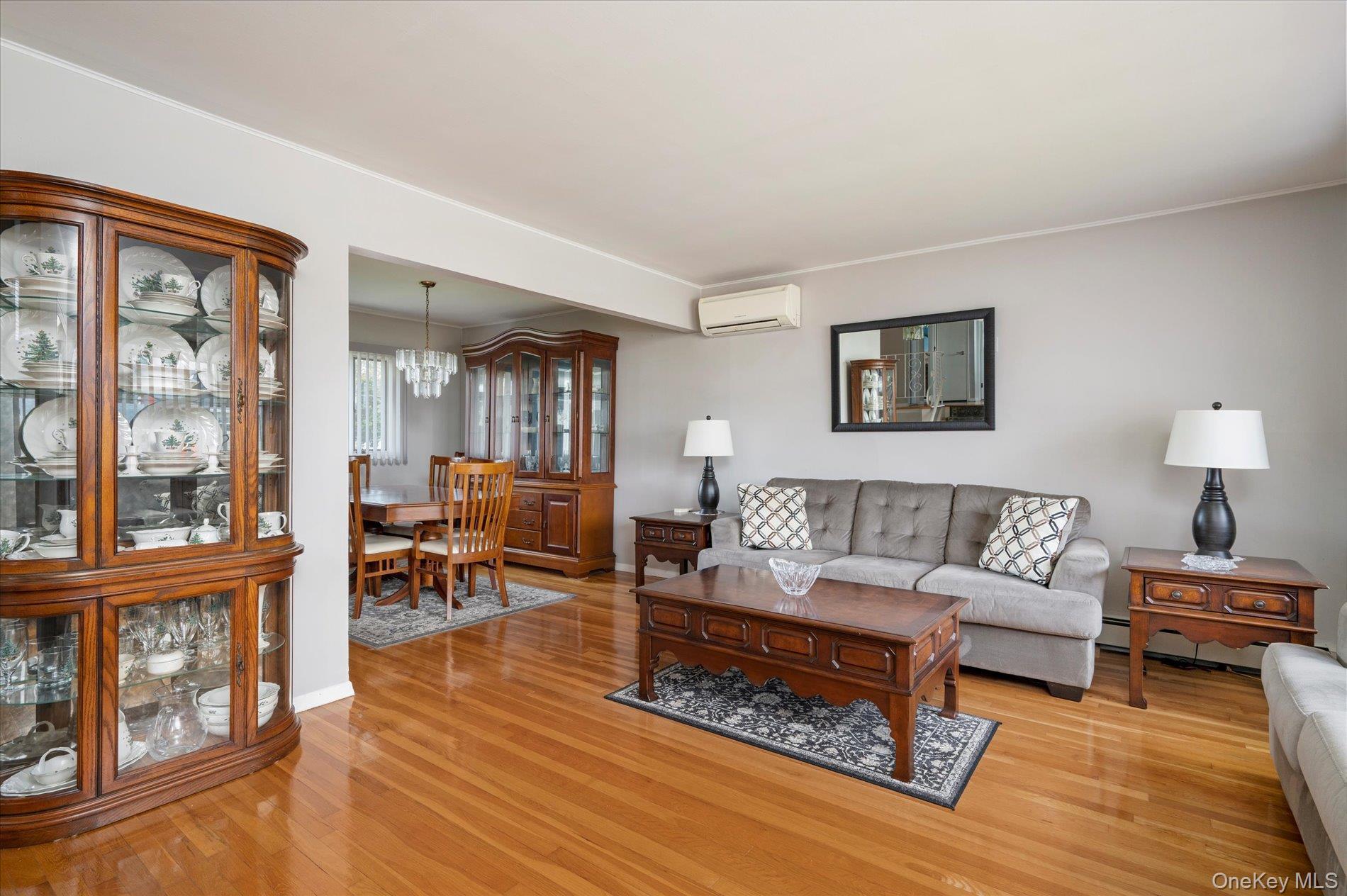 Single Family David  Nassau County, NY 11735, MLS-932793-4