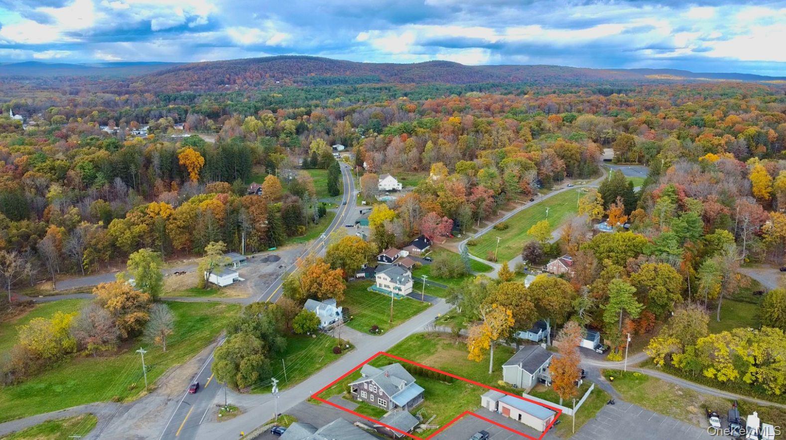 Single Family Forest Hills  Greene County, NY 12414, MLS-932794-4