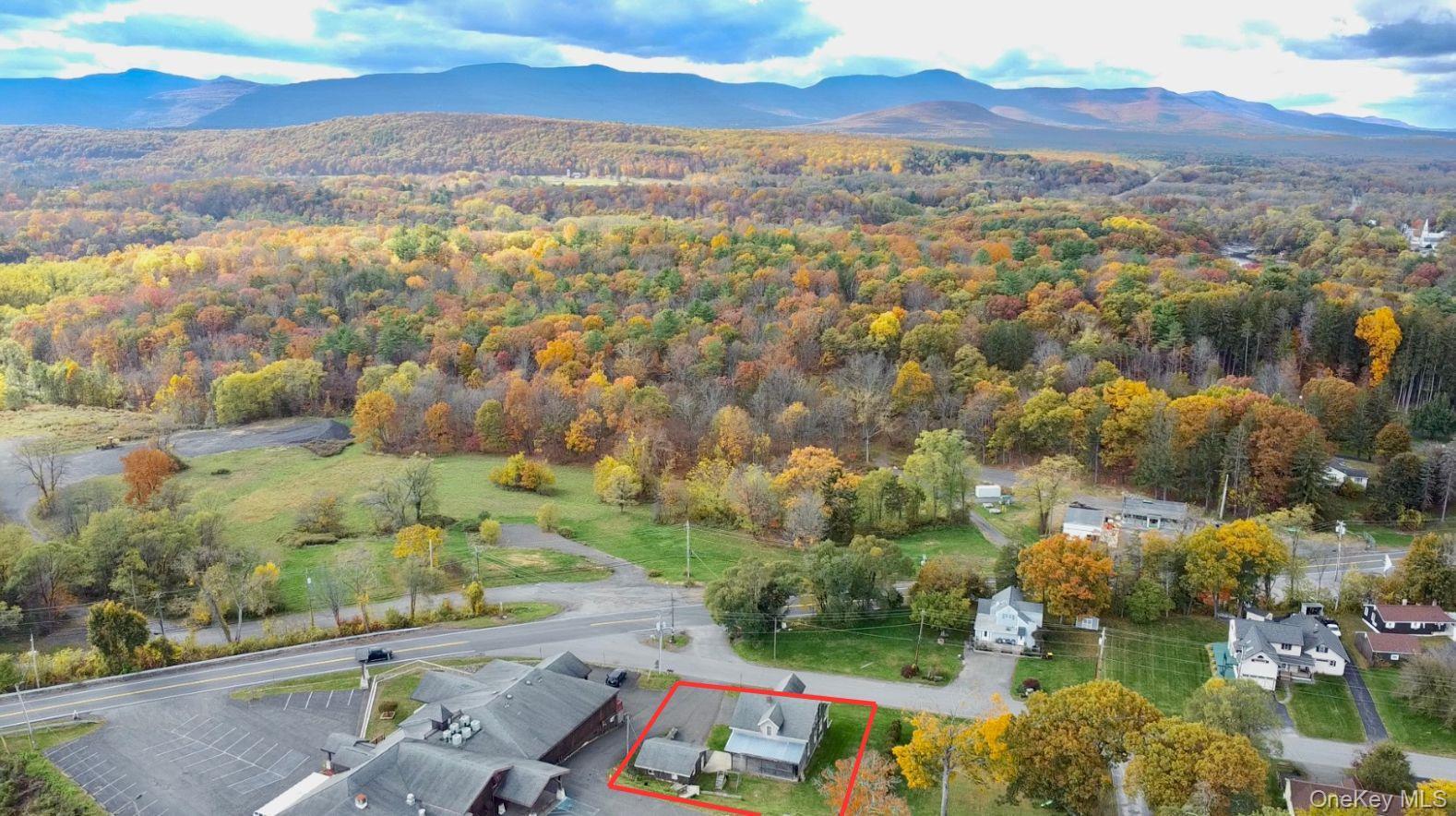 Single Family Forest Hills  Greene County, NY 12414, MLS-932794-5