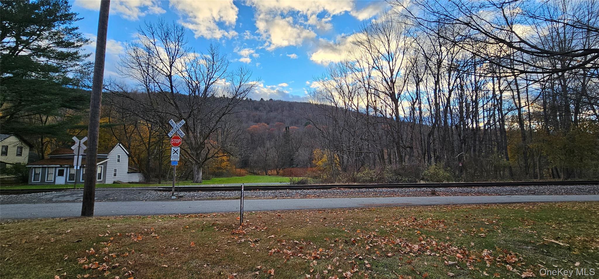 Single Family Railroad Sullivan County, NY 12760, MLS-932831-23