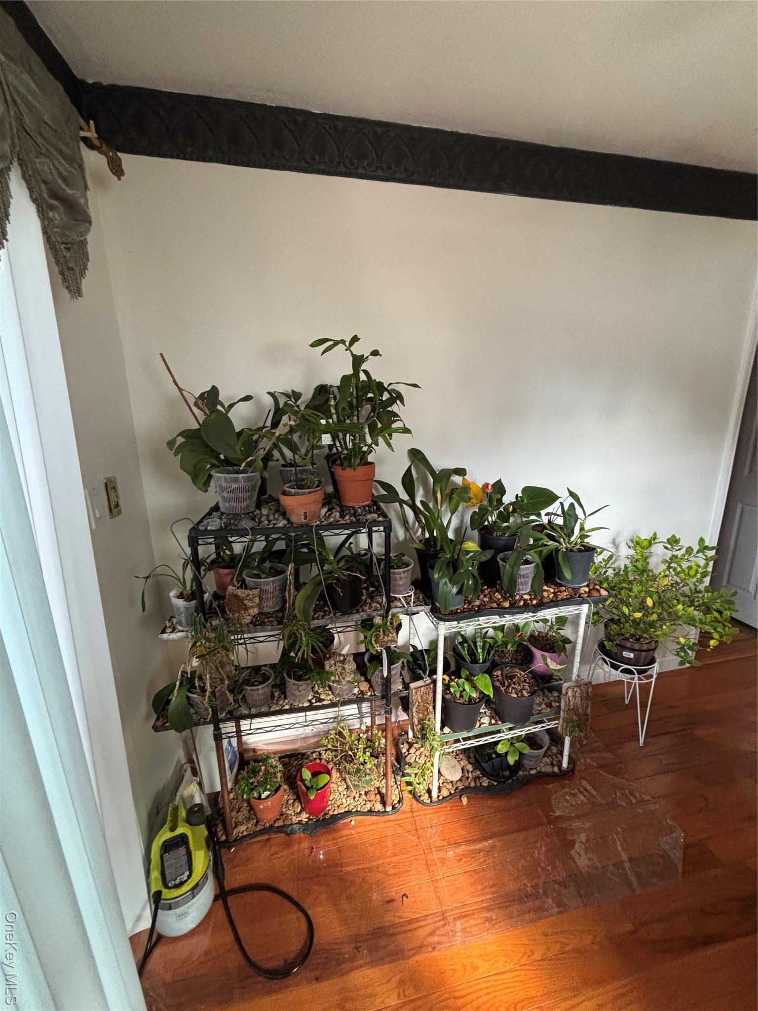 Single Family Jordan Queens, NY 11412, MLS-932841-15