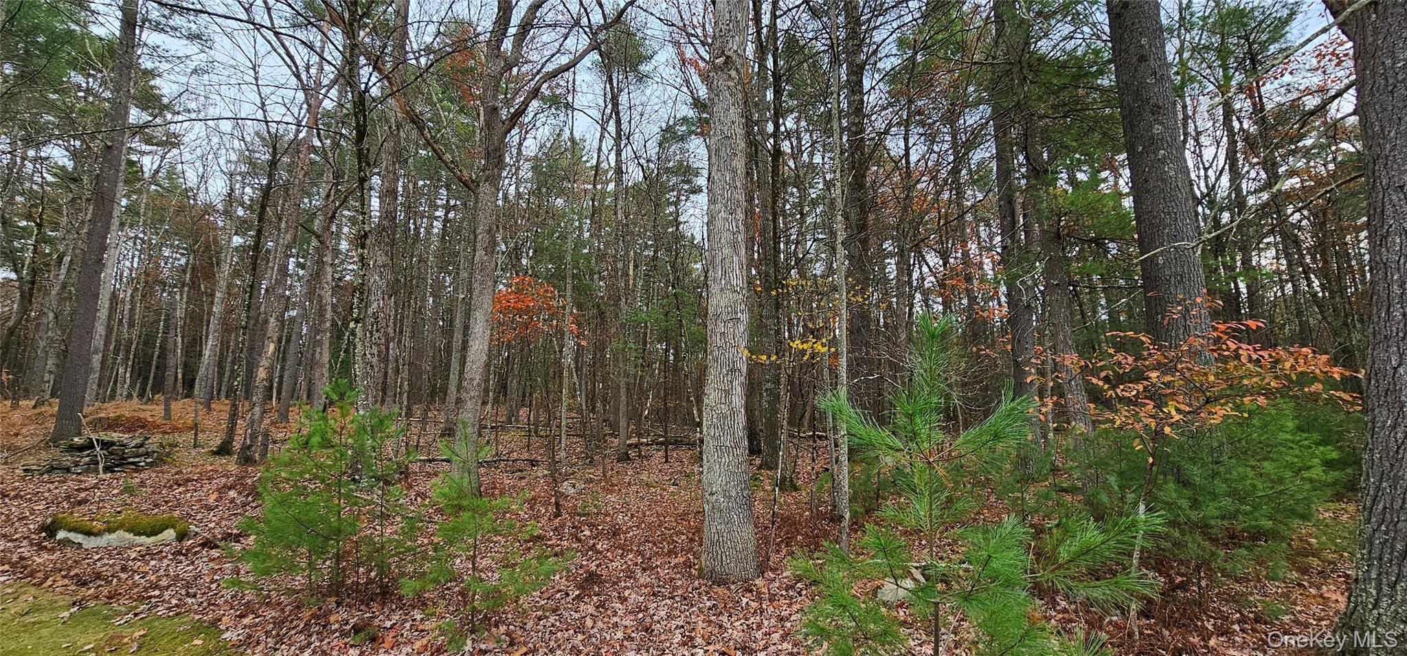 Single Family Eldred Yulan Sullivan County, NY 12732, MLS-932862-27