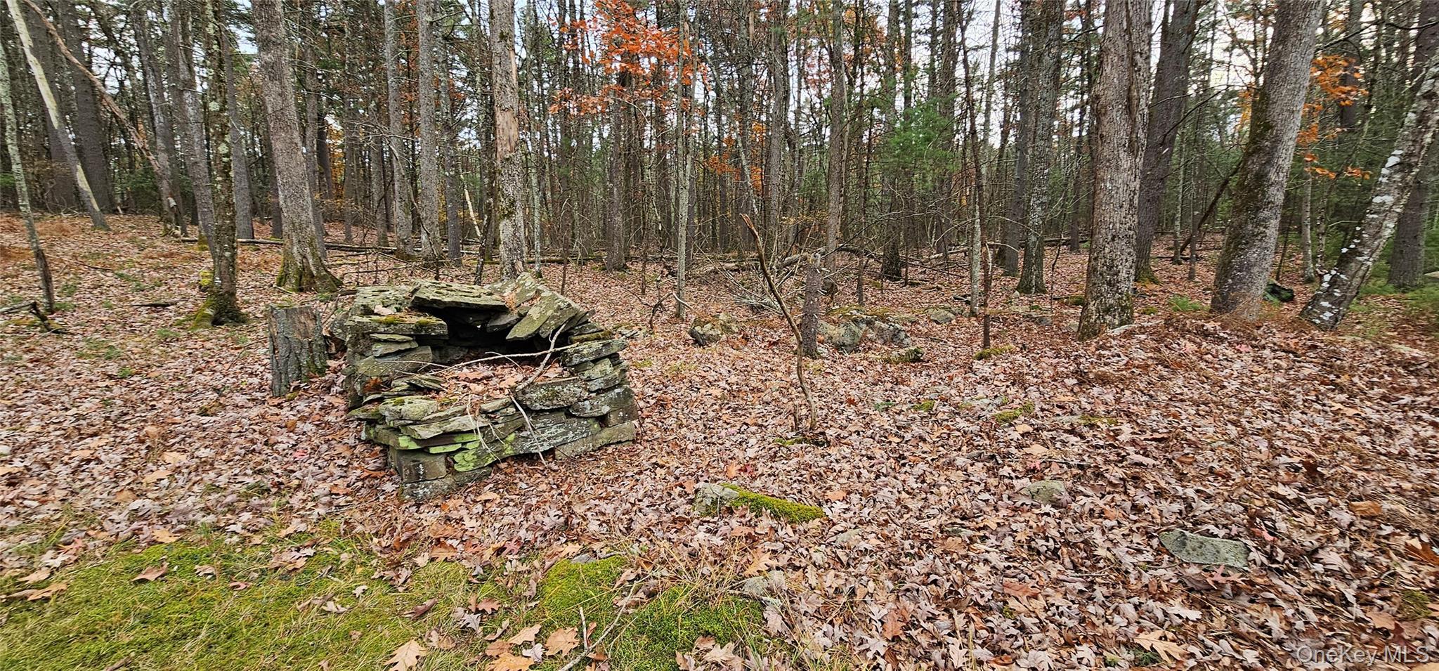 Single Family Eldred Yulan Sullivan County, NY 12732, MLS-932862-30