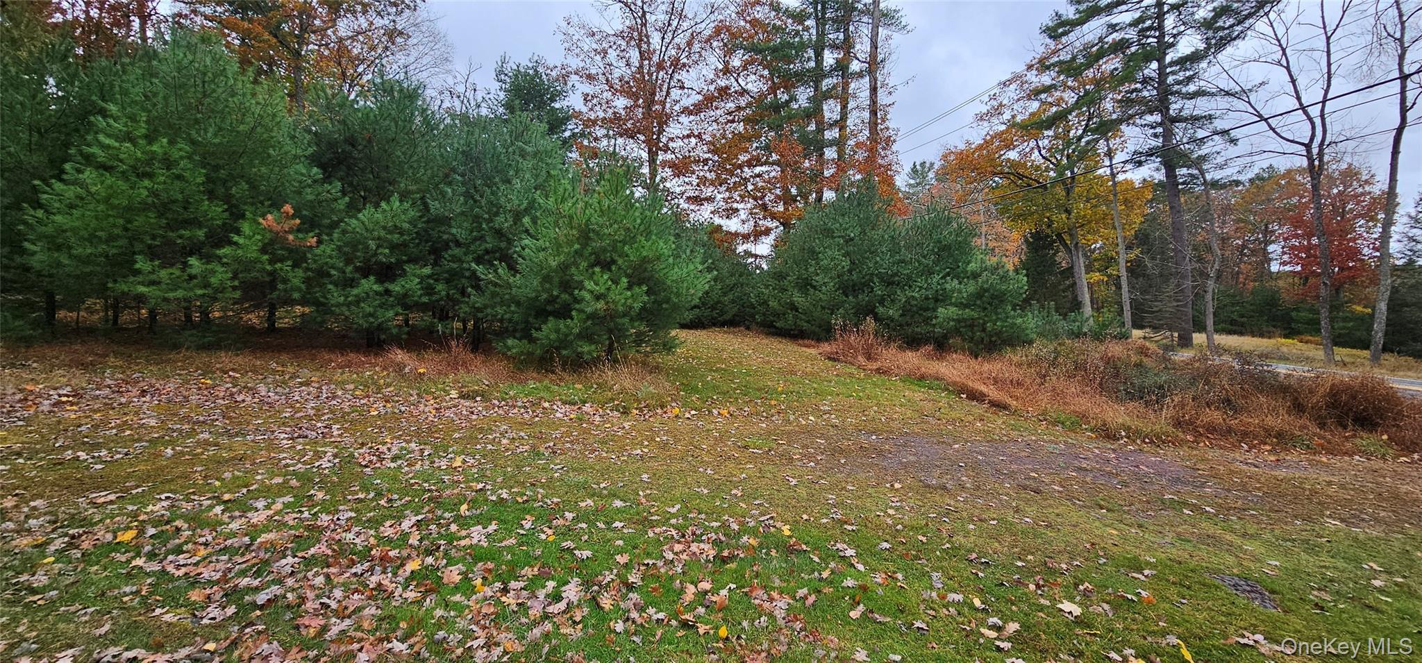 Single Family Eldred Yulan Sullivan County, NY 12732, MLS-932862-32