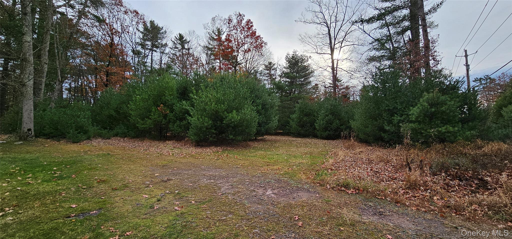 Single Family Eldred Yulan Sullivan County, NY 12732, MLS-932862-33